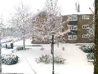Walnut Court, Walthamstow