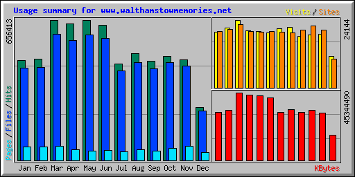 Usage summary for www.walthamstowmemories.net